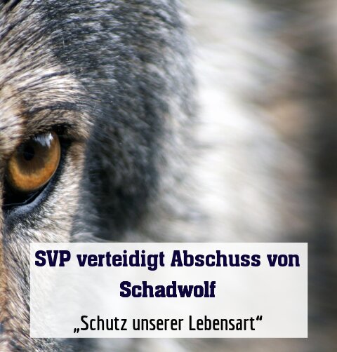 „Schutz unserer Lebensart“