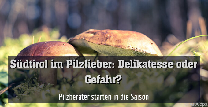 Pilzberater starten in die Saison