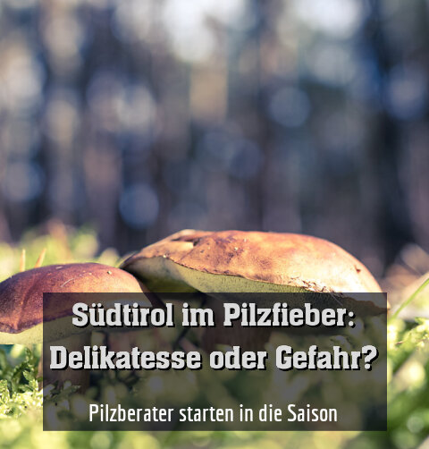 Pilzberater starten in die Saison