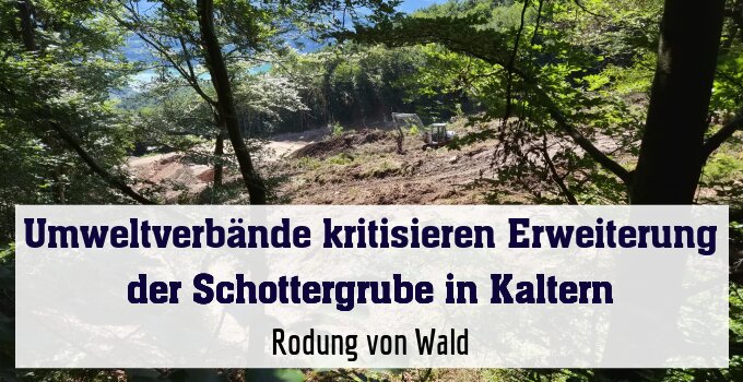 Rodung von Wald