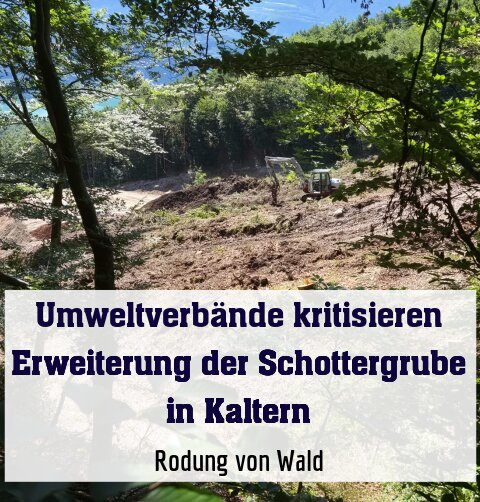 Rodung von Wald