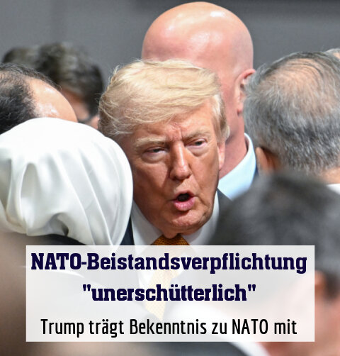 Trump trägt Bekenntnis zu NATO mit