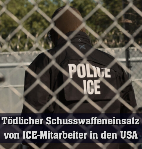 Tödlicher Schusswaffeneinsatz eines ICE-Mitarbeiters (Archivbild)