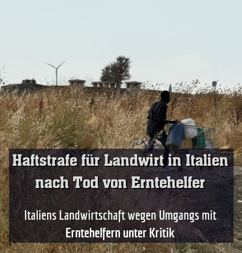 Italiens Landwirtschaft wegen Umgangs mit Erntehelfern unter Kritik