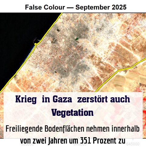 Freiliegende Bodenflächen nehmen innerhalb von zwei Jahren um 351 Prozent zu