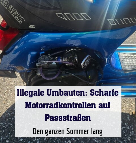 Den ganzen Sommer lang
