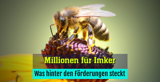 Was hinter den Förderungen steckt