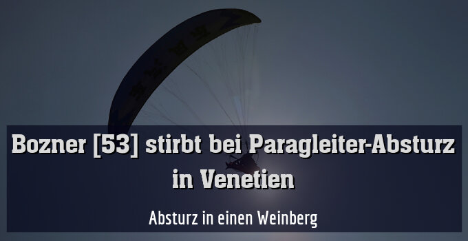 Absturz in einen Weinberg