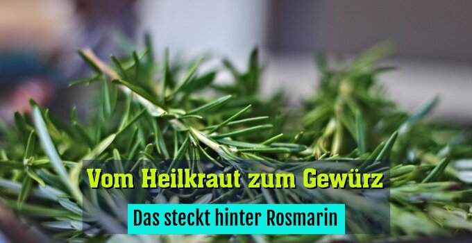 Das steckt hinter Rosmarin