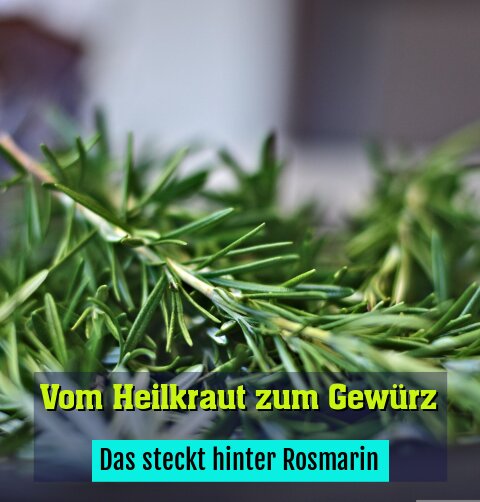Das steckt hinter Rosmarin