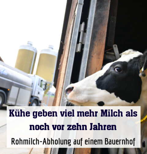 Rohmilch-Abholung auf einem Bauernhof