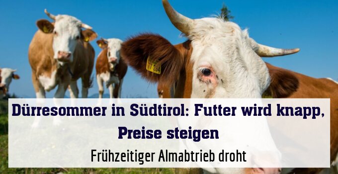 Frühzeitiger Almabtrieb droht