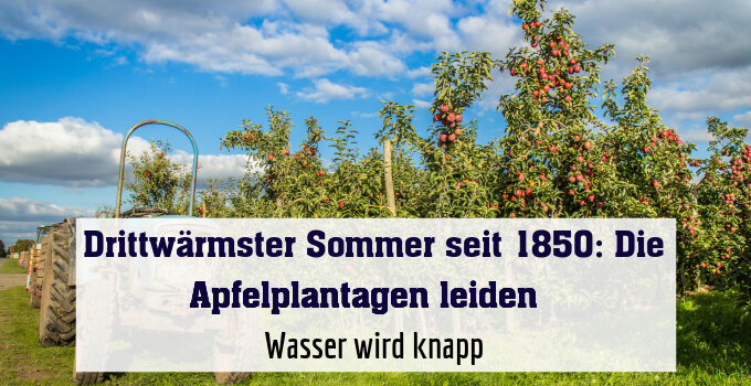 Wasser wird knapp