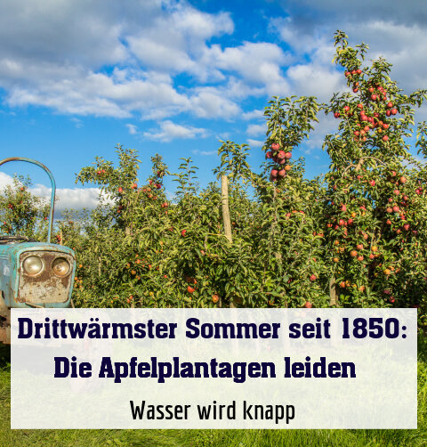 Wasser wird knapp