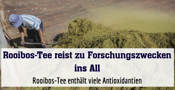 Rooibos-Tee enthält viele Antioxidantien