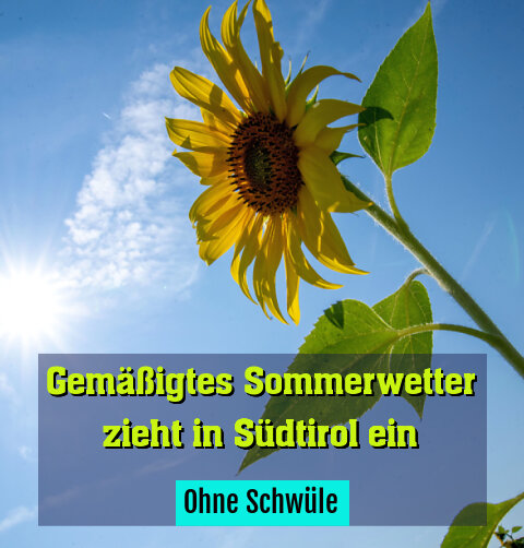 Ohne Schwüle