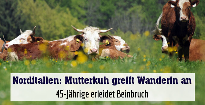 45-Jährige erleidet Beinbruch