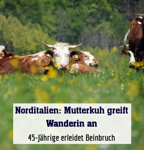 45-Jährige erleidet Beinbruch