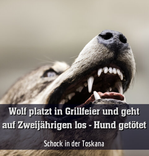 Schock in der Toskana