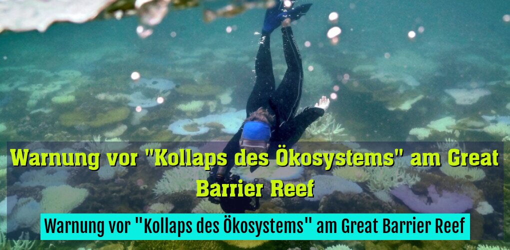 Warnung vor "Kollaps des Ökosystems" am Great Barrier Reef