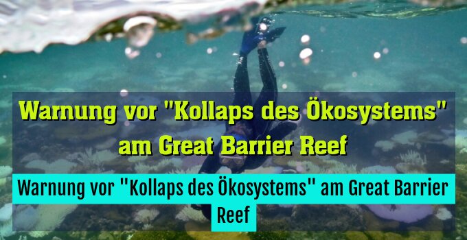 Warnung vor "Kollaps des Ökosystems" am Great Barrier Reef