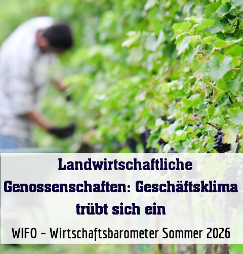 WIFO – Wirtschaftsbarometer Sommer 2026