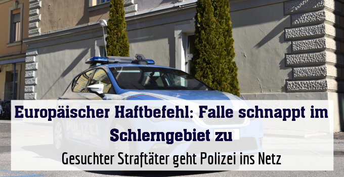 Gesuchter Straftäter geht Polizei ins Netz
