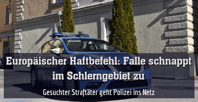 Gesuchter Straftäter geht Polizei ins Netz