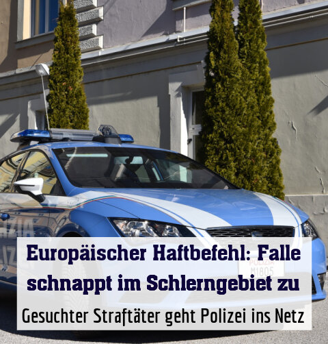 Gesuchter Straftäter geht Polizei ins Netz