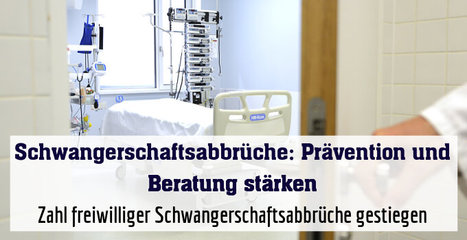 Zahl freiwilliger Schwangerschaftsabbrüche gestiegen