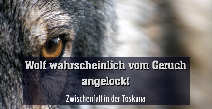 Zwischenfall in der Toskana