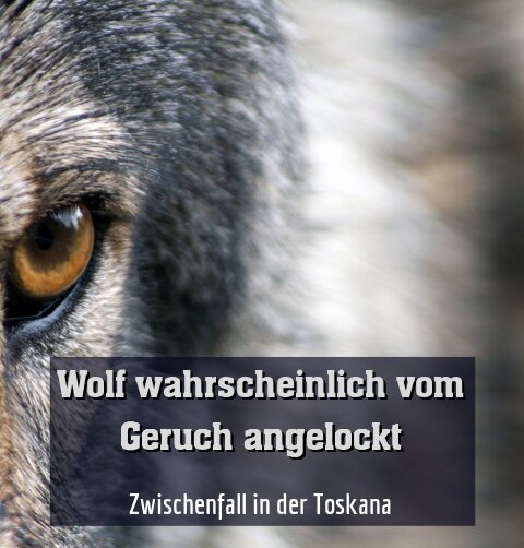 Zwischenfall in der Toskana