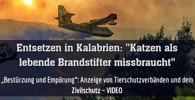 „Bestürzung und Empörung“: Anzeige von Tierschutzverbänden und dem Zivilschutz – VIDEO