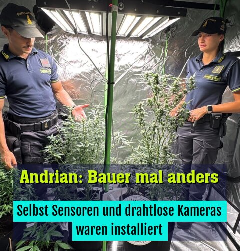 Selbst Sensoren und drahtlose Kameras waren installiert