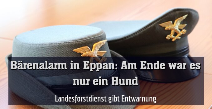 Landesforstdienst gibt Entwarnung