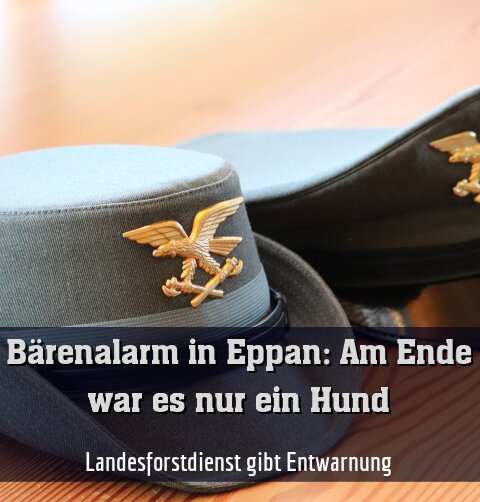 Landesforstdienst gibt Entwarnung