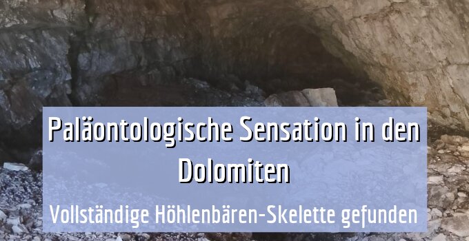 Vollständige Höhlenbären-Skelette gefunden