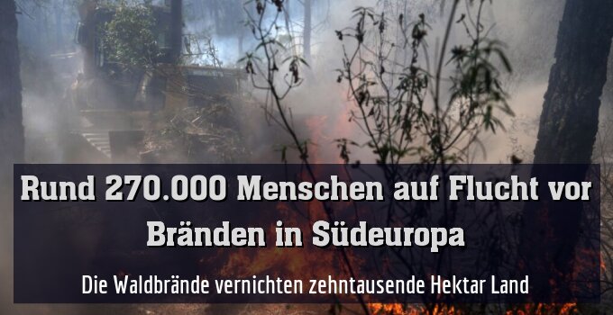 Die Waldbrände vernichten zehntausende Hektar Land