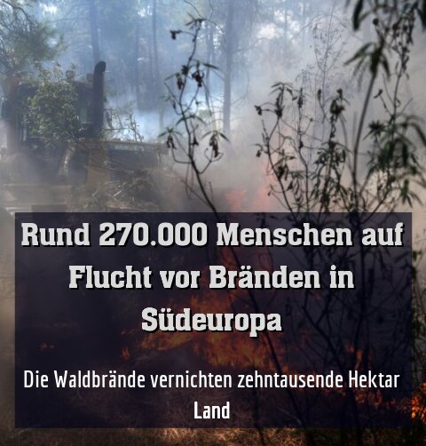 Die Waldbrände vernichten zehntausende Hektar Land