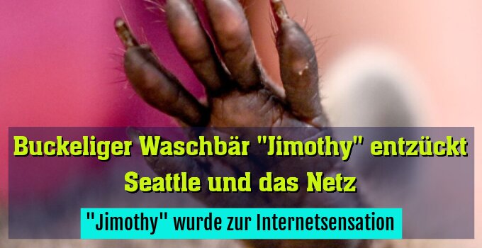 "Jimothy" wurde zur Internetsensation