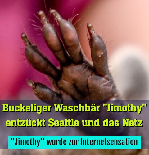 "Jimothy" wurde zur Internetsensation