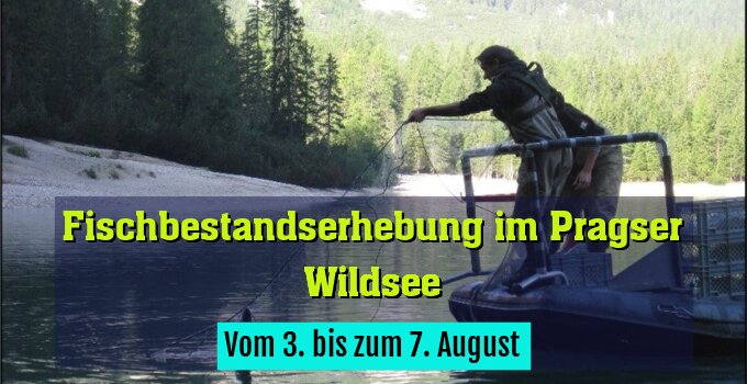 Vom 3. bis zum 7. August