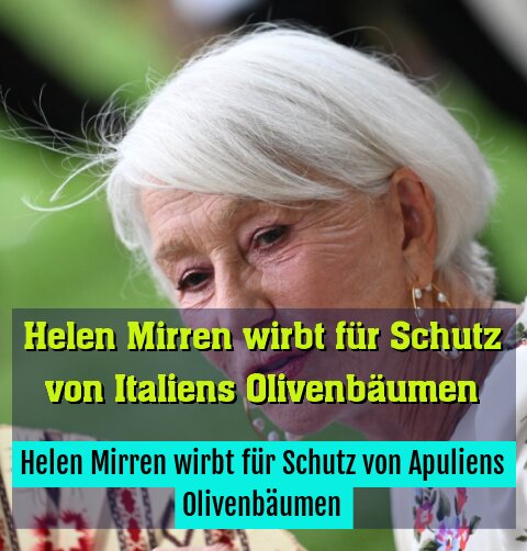 Helen Mirren wirbt für Schutz von Apuliens Olivenbäumen
