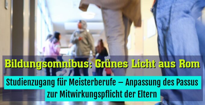 Studienzugang für Meisterberufe – Anpassung des Passus zur Mitwirkungspflicht der Eltern