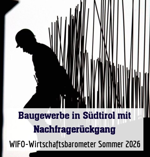 WIFO-Wirtschaftsbarometer Sommer 2026