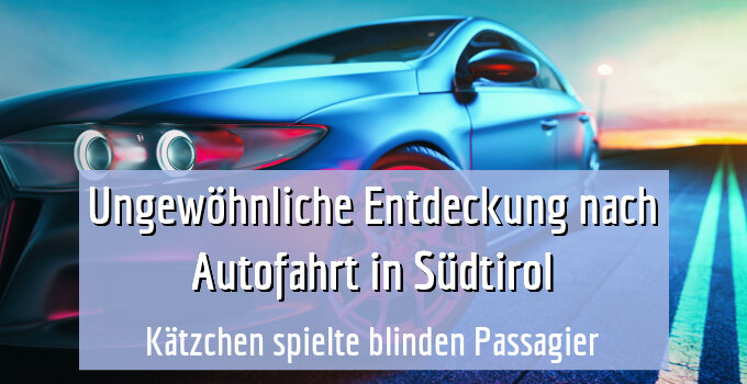 Kätzchen spielte blinden Passagier