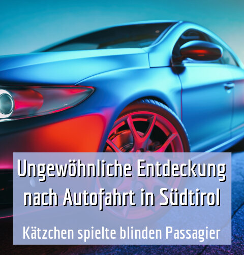 Kätzchen spielte blinden Passagier
