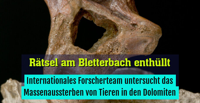 Internationales Forscherteam untersucht das Massenaussterben von Tieren in den Dolomiten