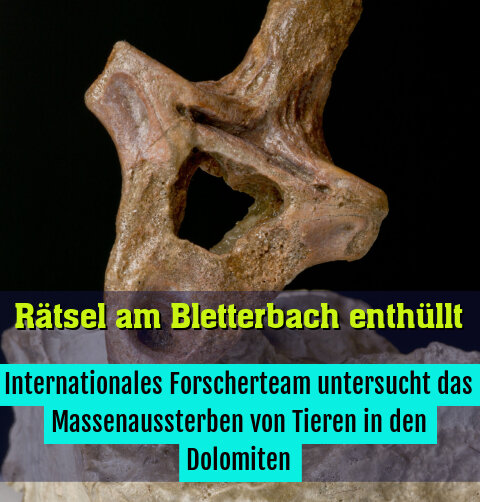 Internationales Forscherteam untersucht das Massenaussterben von Tieren in den Dolomiten
