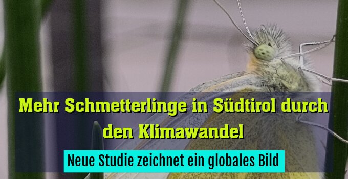 Neue Studie zeichnet ein globales Bild